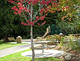 Arlington Parks & Recreation