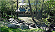 Portage Creek
